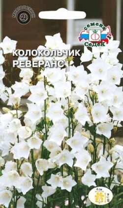Семена колокольчик персиколистный Реверанс белоснежный СЕДЕК 0,05 г